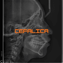 Cefálica